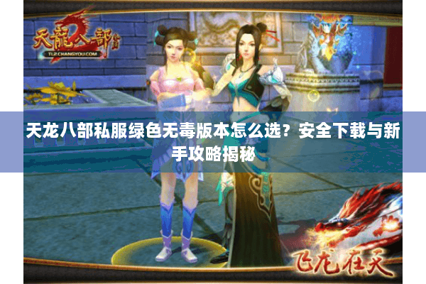 天龙八部私服绿色无毒版本怎么选？安全下载与新手攻略揭秘