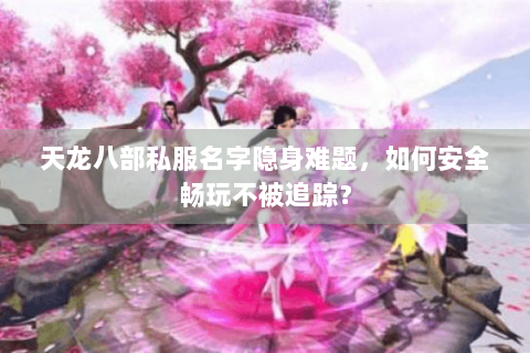 天龙八部私服名字隐身难题,如何安全畅玩不被追踪? 天龙八部私服名字隐身难题,如何安全畅玩不被追踪?