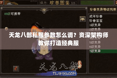 天龙八部私服参数怎么调？资深架构师教你打造经典服