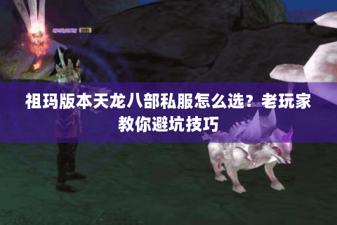 祖玛版本天龙八部私服怎么选?老玩家教你避坑技巧 祖玛版本天龙八部私服怎么选?老玩家教你避坑技巧