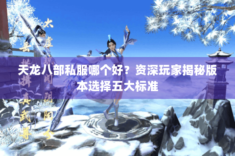天龙八部私服哪个好?资深玩家揭秘版本选择五大标准 天龙八部私服哪个好?资深玩家揭秘版本选择五大标准