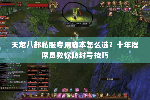天龙八部私服专用脚本怎么选？十年程序员教你防封号技巧