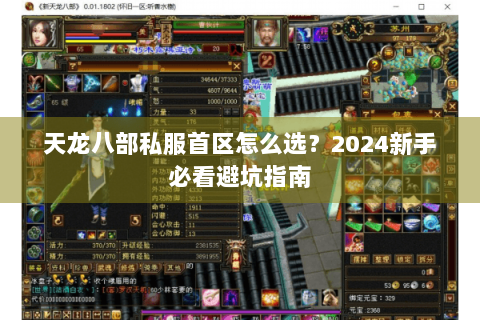 天龙八部私服首区怎么选？2024新手必看避坑指南