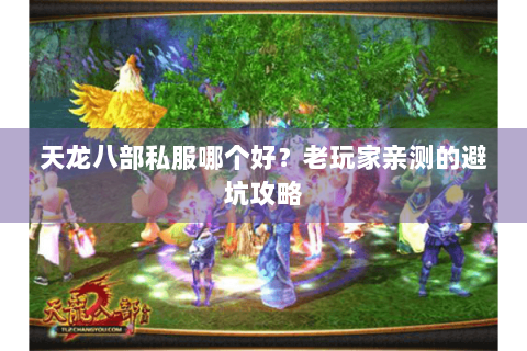 天龙八部私服哪个好?老玩家亲测的避坑攻略 天龙八部私服哪个好?老玩家亲测的避坑攻略