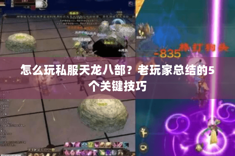 怎么玩私服天龙八部?老玩家总结的5个关键技巧 怎么玩私服天龙八部?老玩家总结的5个关键技巧
