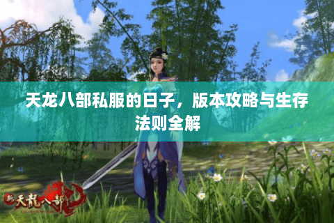 天龙八部私服的日子,版本攻略与生存法则全解 天龙八部私服的日子,版本攻略与生存法则全解