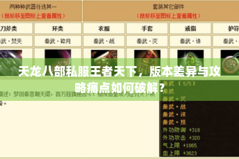 天龙八部私服王者天下，版本差异与攻略痛点如何破解？