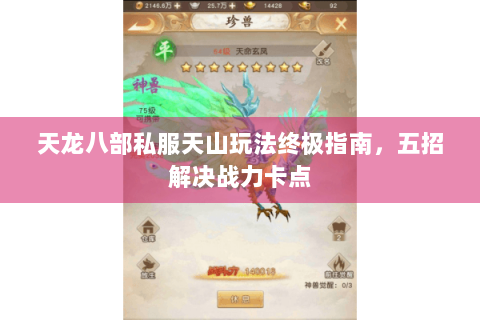 天龙八部私服天山玩法终极指南，五招解决战力卡点