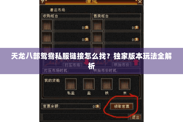 天龙八部鸳鸯私服链接怎么找？独家版本玩法全解析