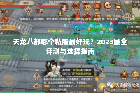 天龙八部哪个私服最好玩？2023最全评测与选择指南