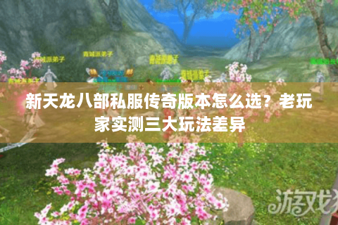 新天龙八部私服传奇版本怎么选？老玩家实测三大玩法差异