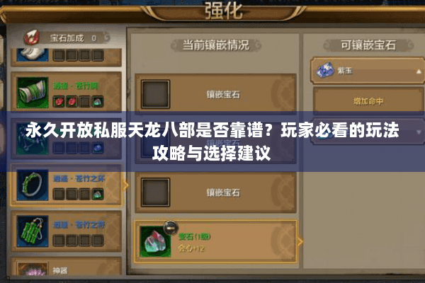 永久开放私服天龙八部是否靠谱？玩家必看的玩法攻略与选择建议
