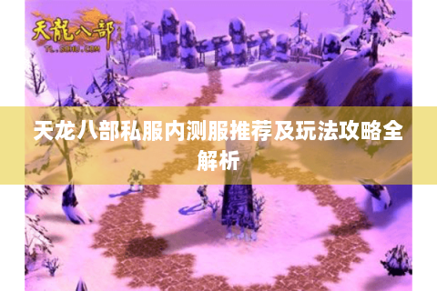 天龙八部私服内测服推荐及玩法攻略全解析