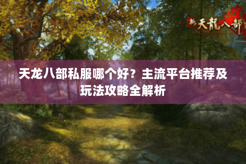 天龙八部私服哪个好？主流平台推荐及玩法攻略全解析