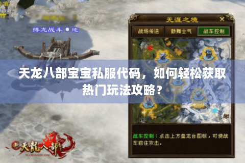 天龙八部宝宝私服代码，如何轻松获取热门玩法攻略？