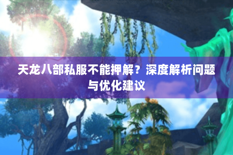 天龙八部私服不能押解?深度解析问题与优化建议 天龙八部私服不能押解?深度解析问题与优化建议