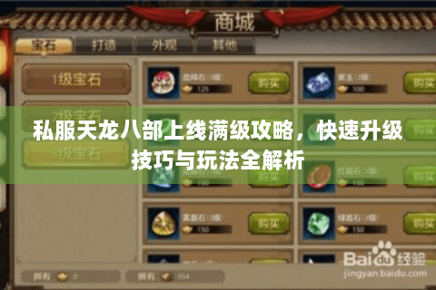 私服天龙八部上线满级攻略,快速升级技巧与玩法全解析 私服天龙八部上线满级攻略,快速升级技巧与玩法全解析