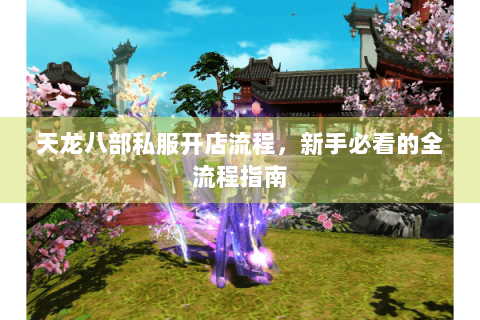 天龙八部私服开店流程,新手必看的全流程指南 天龙八部私服开店流程,新手必看的全流程指南