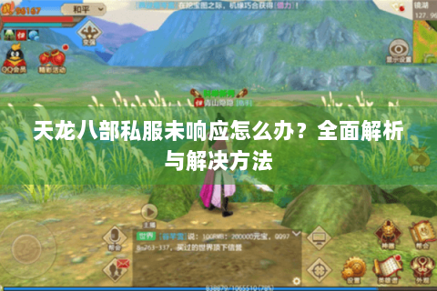 天龙八部私服未响应怎么办?全面解析与解决方法 天龙八部私服未响应怎么办?全面解析与解决方法