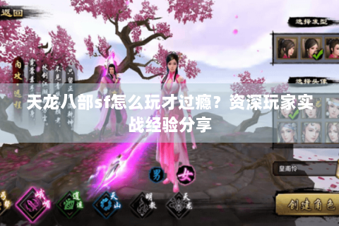 天龙八部sf怎么玩才过瘾?资深玩家实战经验分享 天龙八部sf怎么玩才过瘾?资深玩家实战经验分享