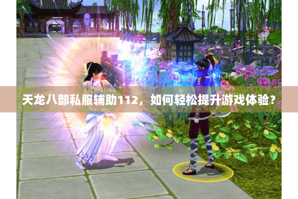天龙八部私服辅助112,如何轻松提升游戏体验? 天龙八部私服辅助112,如何轻松提升游戏体验?
